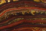 Polished Tiger Iron Stromatolite Slab - Billion Years #185915-1